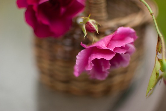 [DSC_0017%255B4%255D.jpg]