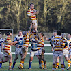 line out 2.jpg