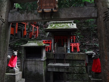 DSC00344 DSC00344