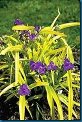 images (1) images (1)