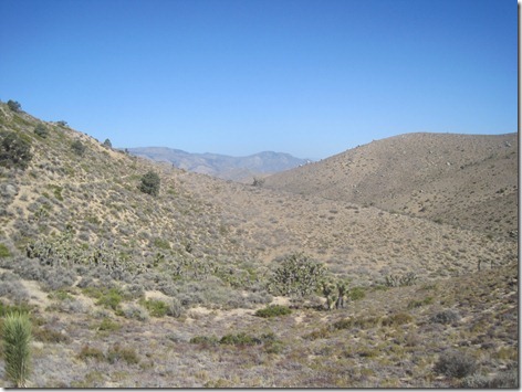 IMG_4347 IMG_4347