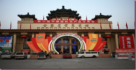 Shangai Antica 5 Shangai Antica 5