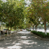 Hami - allée ombragée