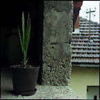 img056.jpg