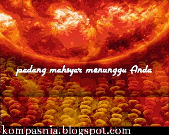 padang mahsyar