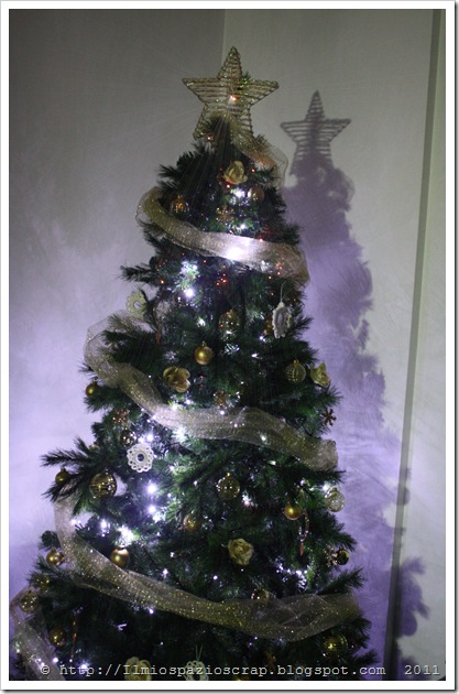 IMG_2810_spruzzo Il mio albero