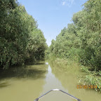 IMG_5761.JPG