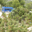 Ibiza-05-2012-025.JPG