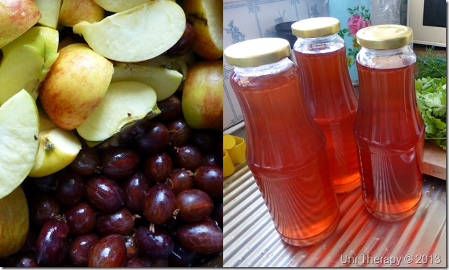 Uni Therapy: apple-gooseberry juice