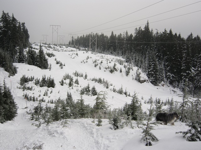 [IMG_6384%255B3%255D.jpg]