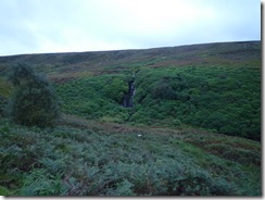 P1110693