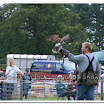 Cuerden Birds of Prey 002.jpg