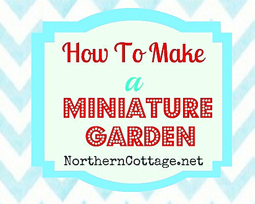 [how-to-make-a-mini-garden--northern-%255B2%255D.jpg]