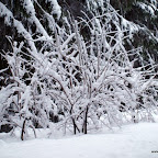 20091201 Allgaeu 1021 [640x480].JPG