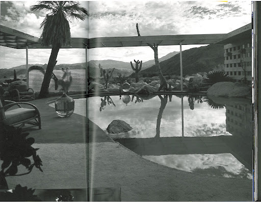 This is a stunning black and white shot looking out at the Loewy House pool and the vast stretch of desert, mountain range and rolling clouds beyond. Those large blown-glass vessels to the left and far background also catch my eye. The owners filled them with pink-colored water - I'd like to try this on a smaller scale in the powder room.