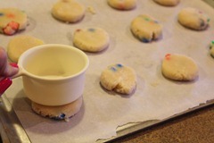IMG_1773 IMG_1773