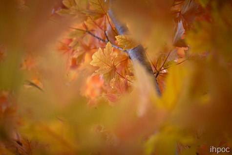 IMG_6058 IMG_6058