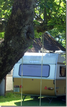DSC07320