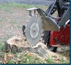 tree stump grinding