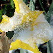 DSCF8655.JPG