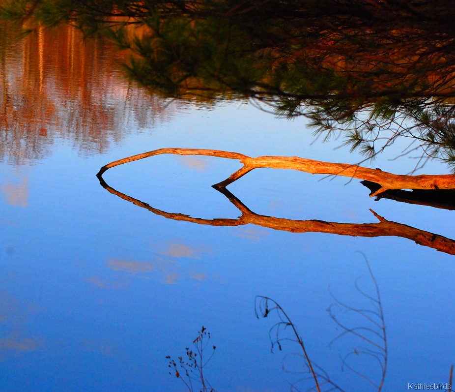 [12-8-11%2520Reflected%2520Sky%255B4%255D.jpg]