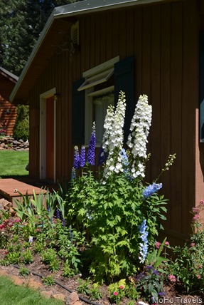 DSC_0006 DSC_0006
