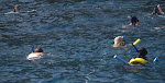 IMGP3264.jpg IMGP3264.jpg