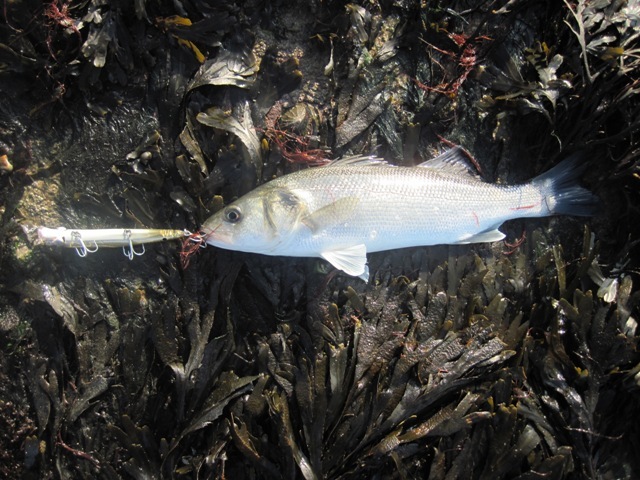 [IMG_0760%255B10%255D.jpg]