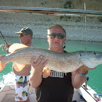 Brochet du lac de Sainte-Croix