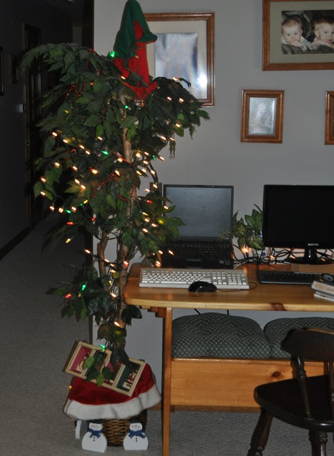 [Our%2520tree%255B6%255D.jpg]