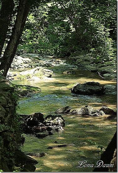 Natural_Bridge_Stream