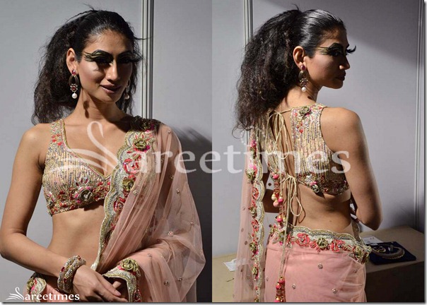 Shane_and_Falguni_Peacock_Saree_Blouse_Designs