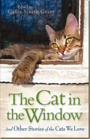 cat in the window cover