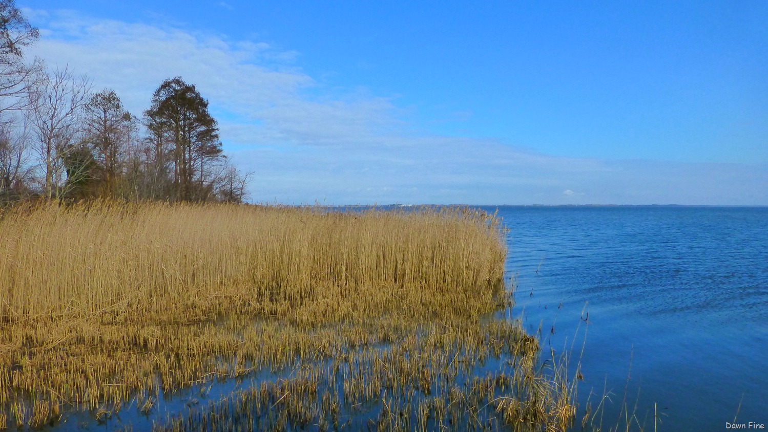 [Mattamuskeet%2520NWR_017.jpg]