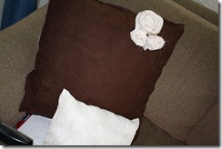 IMG_0342 IMG_0342
