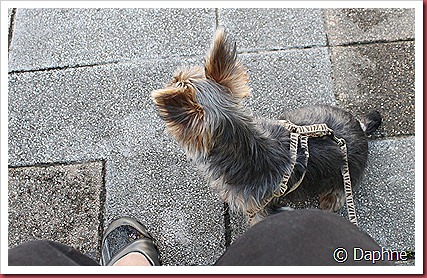 IMG_1465 IMG_1465
