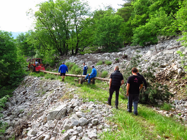 2014-Mlaj-in-kresovanje-12.JPG