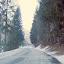 Ewa A. Slomska - W drodze do Richisau ...