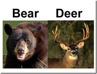 handy_guide