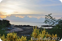 IMG_2145 IMG_2145