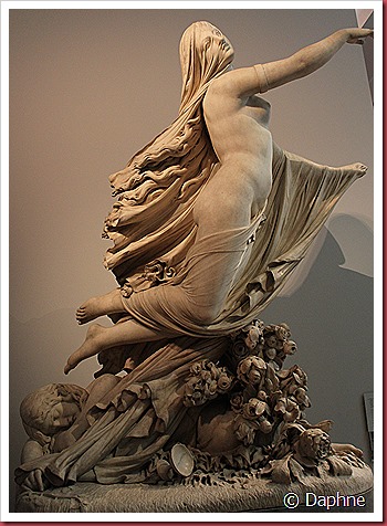 IMG_9015 IMG_9015