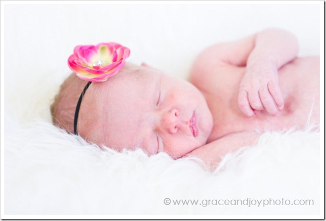 20111017_graceandjoyphotography_090_{NEWBORN}_WEB 20111017_graceandjoyphotography_090_{NEWBORN}_WEB