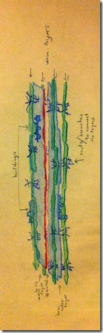 Croquis 2