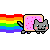cat1.gif