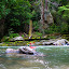 DSCN7290.JPG