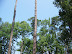 Jamestown Settlement in May
