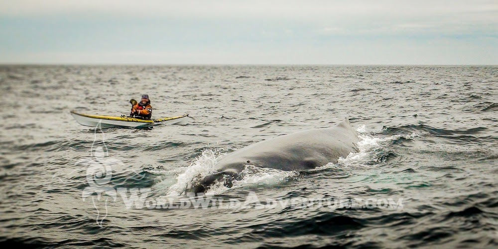 [%2528c%2529JaimeSharp-00036%255B5%255D.jpg]