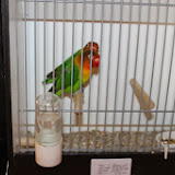 IMG_5340.jpg