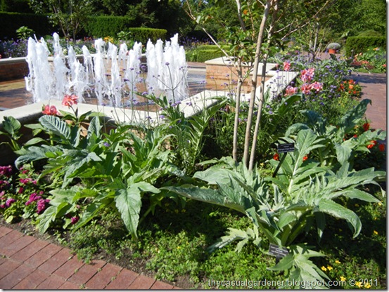 Water feature surrounded by Cardoon and a mixed annual/perennial bed.