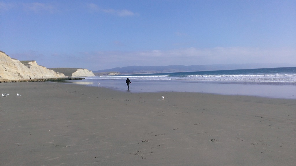 [Drake%2520Beach%255B6%255D.jpg]